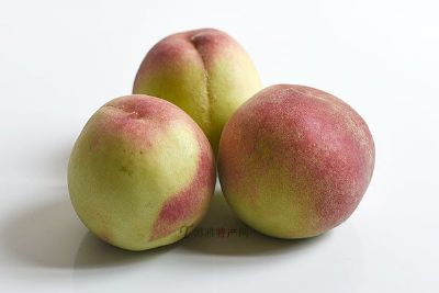 永寧的桃子——固原谷鄉的甜蜜饋贈