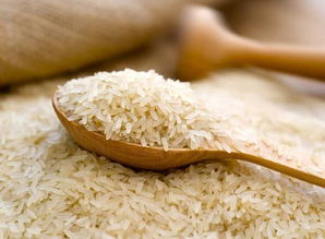 東北大米跨越千里，新鮮直達榕城市民餐桌